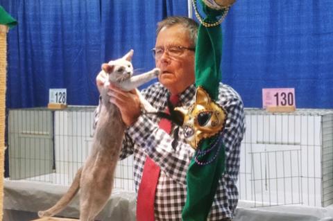 Judge Ken Currle inspects a short-haired breed during the Cat Club of the Palm Beaches CFA Allbreed Cat Show on Sunday at the Sanford Civic Center.