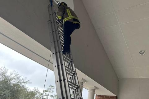 An Oviedo firefighter climbs a ladder to rescue a hawk at Evans Elementary School.