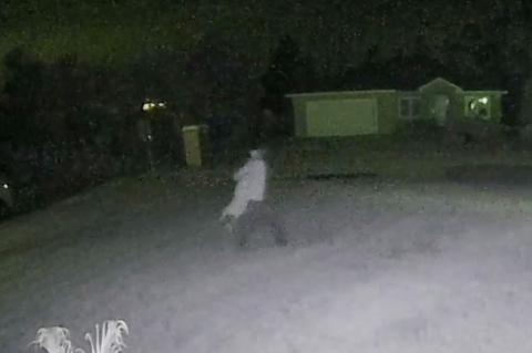 Neighbor's camera footage shows the young man carrying this dog home. 