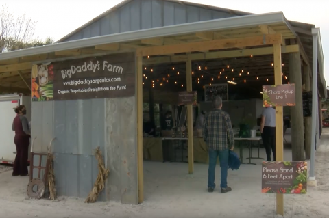 Big Daddy Farm is one of the six virtual stops on the Seminole County Farm Tour put on by the University of Florida. 