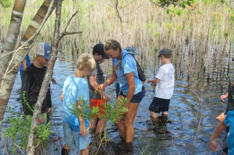 Students exploring the Geneva Wilderness Area as part of their summer camp lessons.