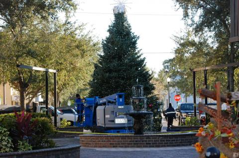 Crews from the City of Sanford work to put of the city’s tree in Magnolia Square this week. 