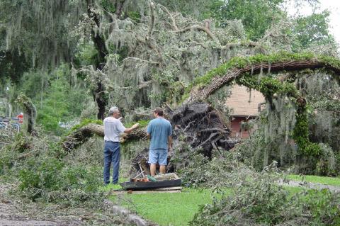 Residents survey the downed trees back in 2004 when four hurricanes swept through Central Florida.