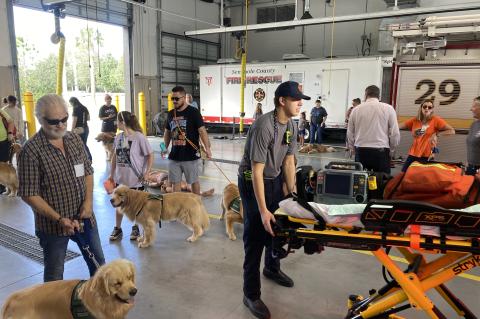 Golden Retrievers trained with firefighters and EMT personnel (above, below) to get used to the equipment and sounds.