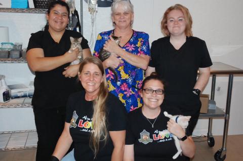 Staff at the Central Florida Community Pet Clinic in DeBary includes Kiaializ Perez-Plaza, back row left, Connie Kramer and Morgan Weeter. In front are Dr. Kimberly Ferizolli, left, and Dara Edmonds.