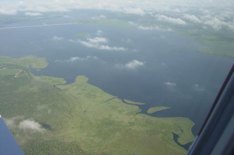 An aerial view of eastern shoreline of Lake Jesup, where algae blooms have recently occurred. 