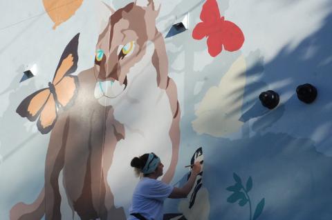 Artist Deanna Derosia works on her designed mural at San Leon.