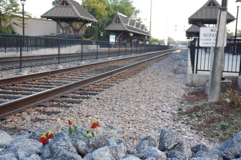 A memorial with roses was placed on the east side of the tracks in Longwood on East Church Avenue.