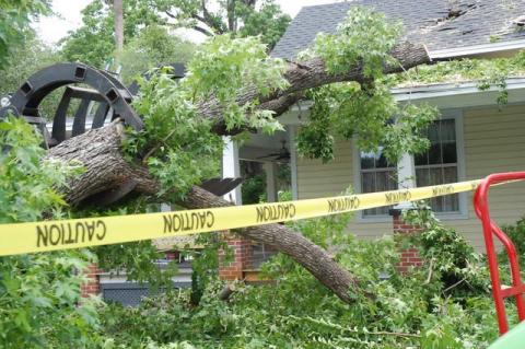 A tree fell on a home at 2nd Street and Laurel Avenue this weekend, prompting city crews to mark off the area and remove the tree. No one was injured at the time the tree fell. 
