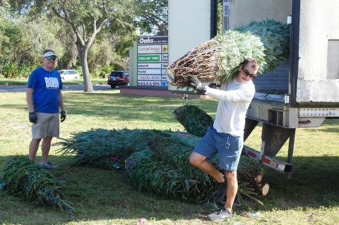 Tom O’Drain, left, watches as Sean Parrino unloads a tree at the Severts lot in Lake Mary Saturday morning.