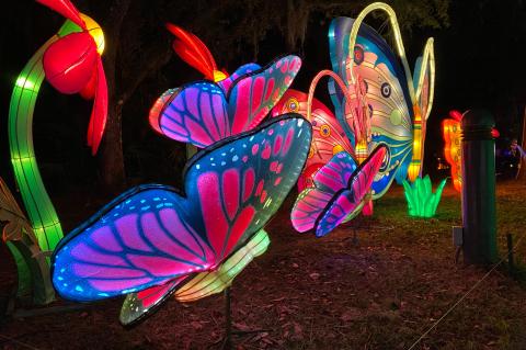 A special New Year’s Eve celebration will be held with the Asian Lantern Festival at the Zoo.