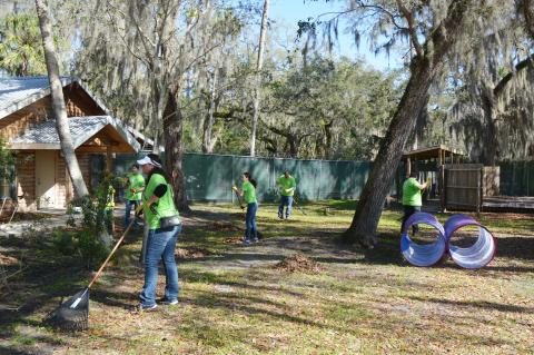 Florida Power & Ligth Company volunteers work at the Central Florida Zoo last week with clean-up tasks such as raking common areas. 